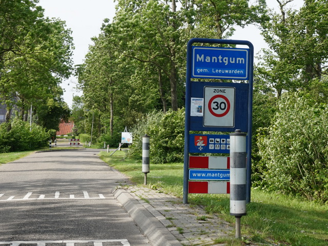 DSC02809mantgum_b