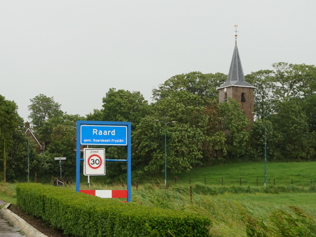 DSC03067raard_b