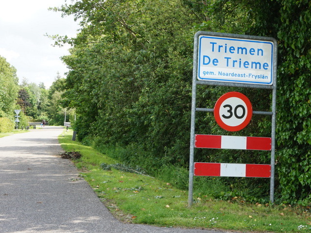 DSC03096triemen_w