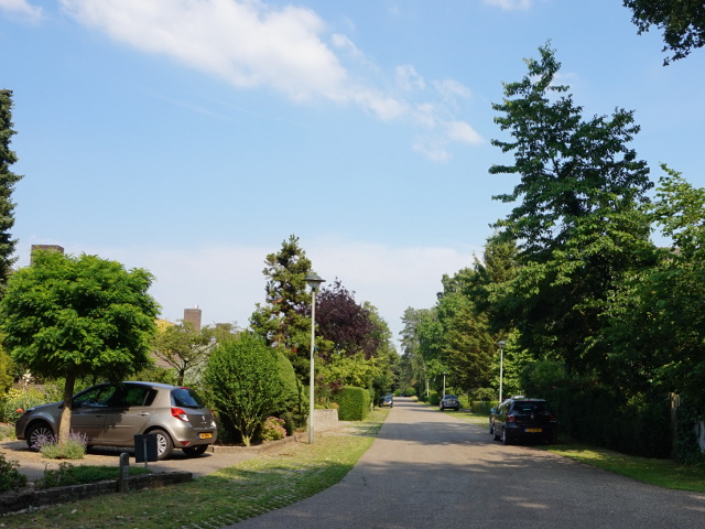 DSC03284hasselderheide_z