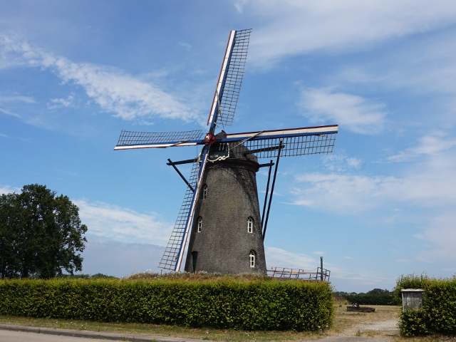 DSC03805heibloem_z