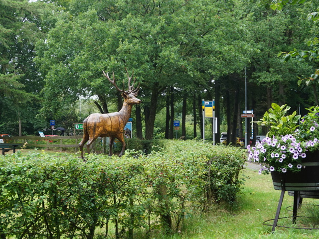 DSC04926vierhouten_z