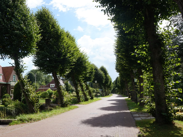 DSC02687bellingeweer_z