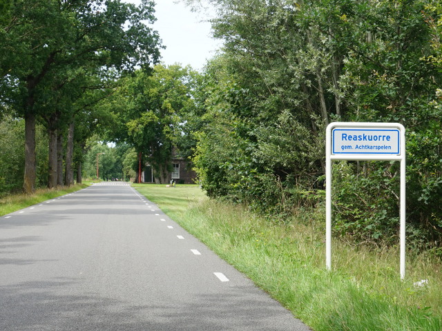 DSC09771reaskuorre_w