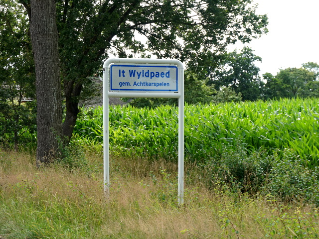 DSC09783itwyldpaed_w