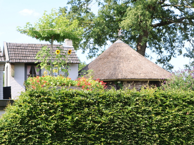 IMG_1893eersel_z