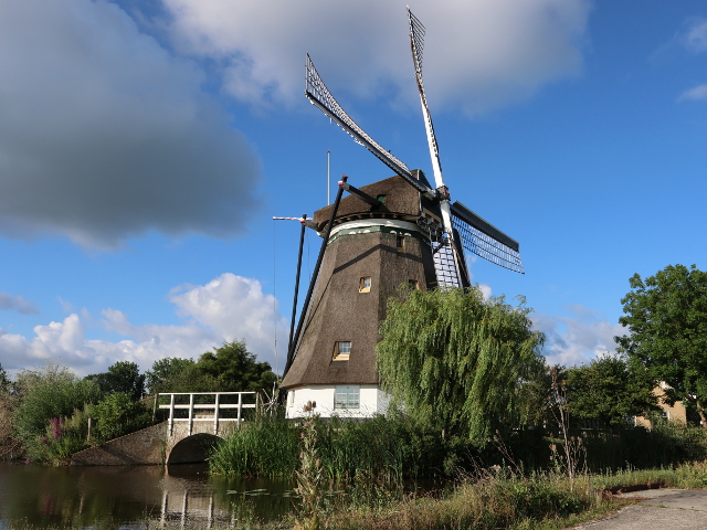IMG_2417rodenrijs_z