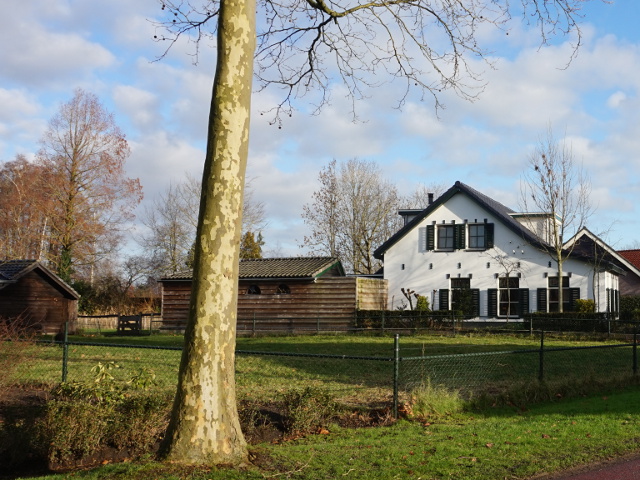 DSC00325zwartebroek_z