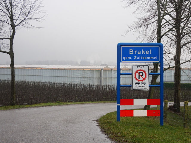 DSC00795brakel_b