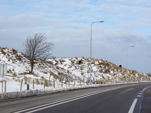 DSC01058sintmaartenszee_z