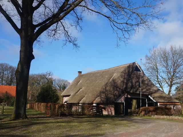 DSC01684gasteren_z