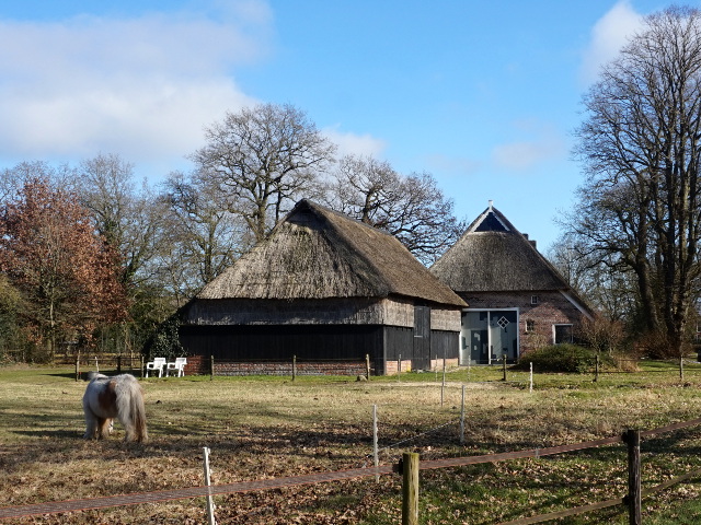 DSC01686anderen_z