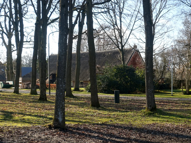 DSC01701tynaarlo_z