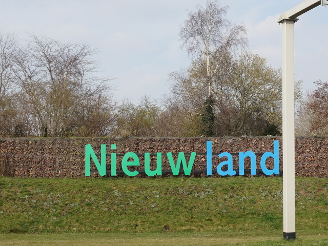 DSC03065nieuwland_n