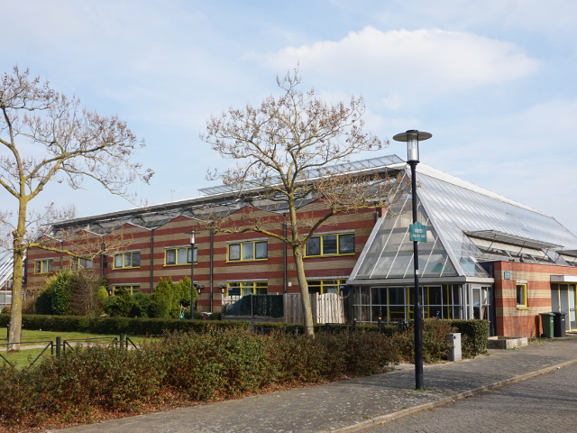 DSC03068kattenbroek_z