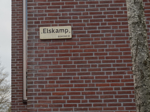 DSC08727bomenrijk_s