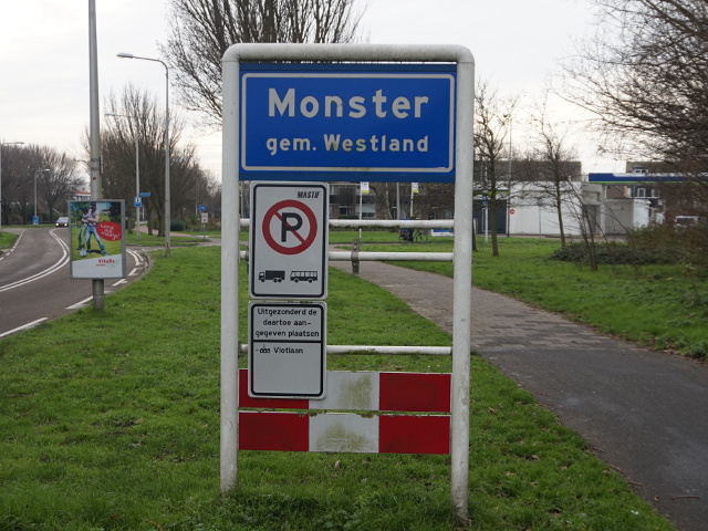 DSC08765monster_b