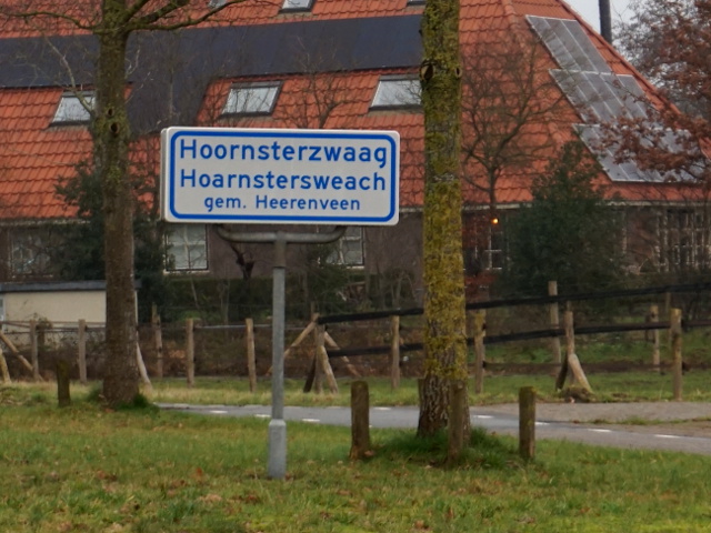 DSC09912hoornsterzwaag_w