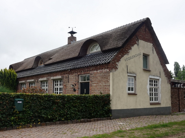 DSC00315vlierden_z