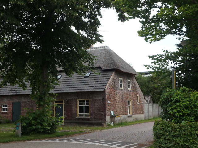 DSC00641riethoven_z