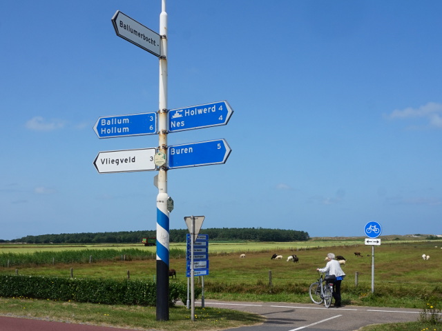 DSC01045ballumerbochtwegw