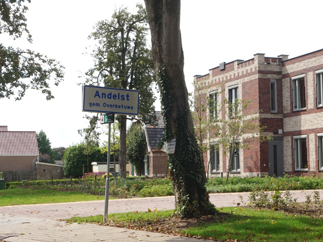 DSC02500andelst_w