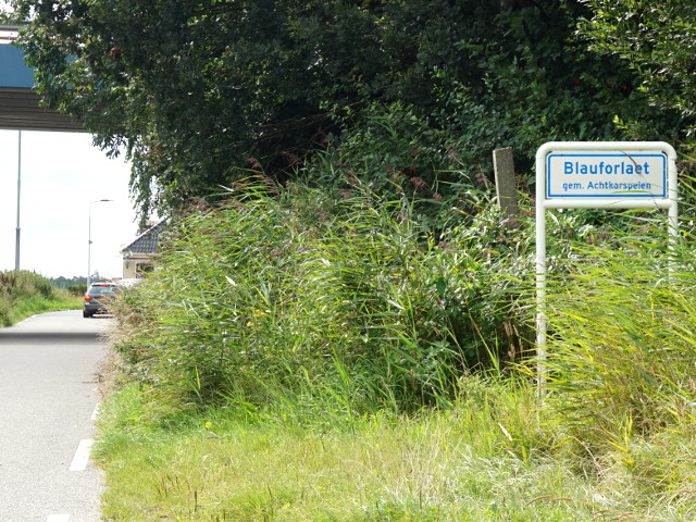 DSC02687blauforlaet_w