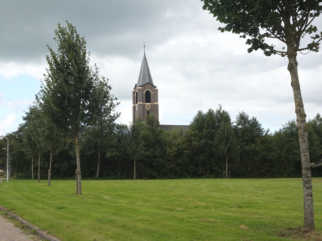 DSC02696kootstertille_z