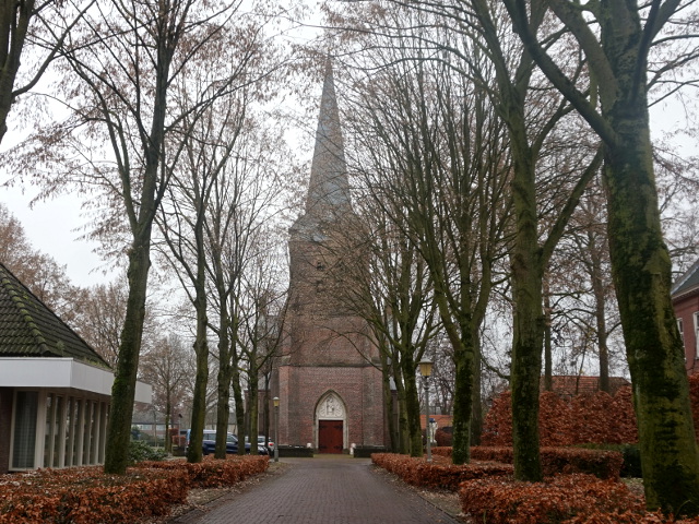 DSC04883hoogemierde_z