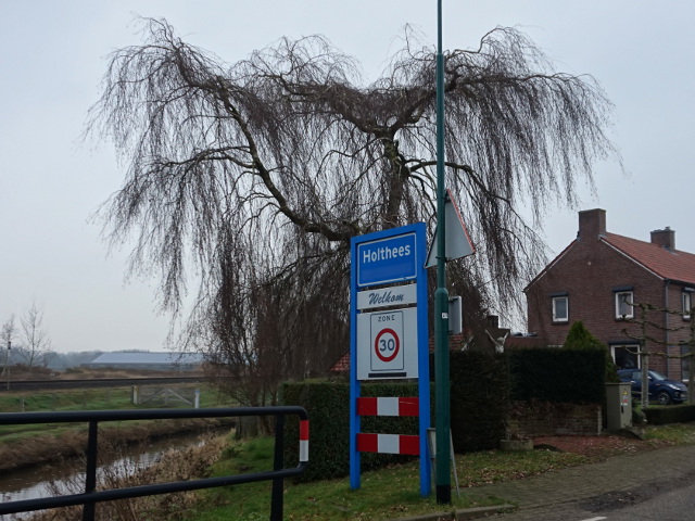 DSC05523holthees_b