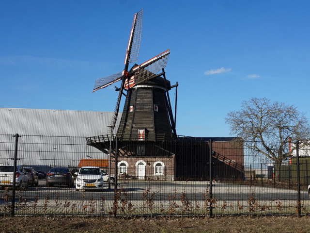DSC06082katwijk_z