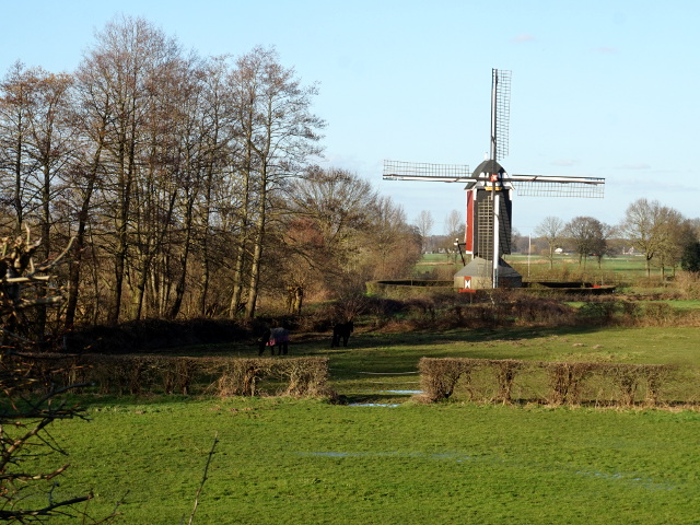 DSC06090nederasselt_z
