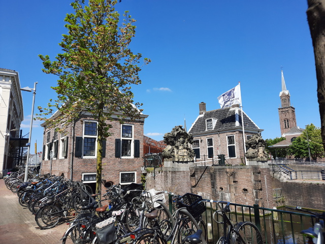 20220508_145416zaandam_z