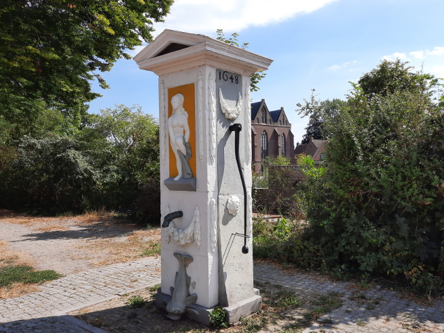 20220831_134742vianen_z
