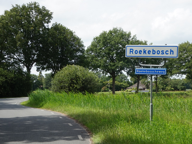 DSC00350roekebosch_w