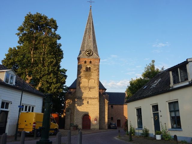 DSC00607wilp_z