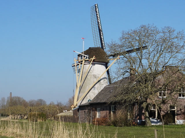 DSC06599doorning_z