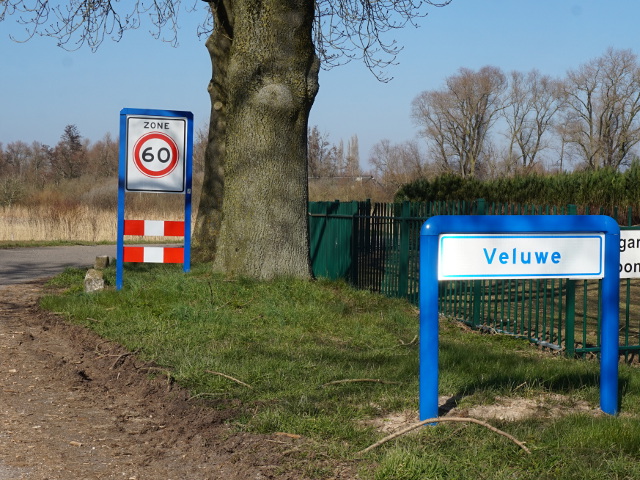 DSC06613veluwe_w