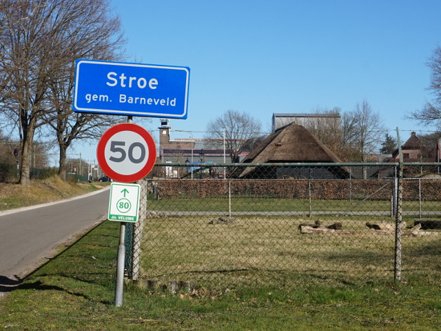 DSC06933stroe_b