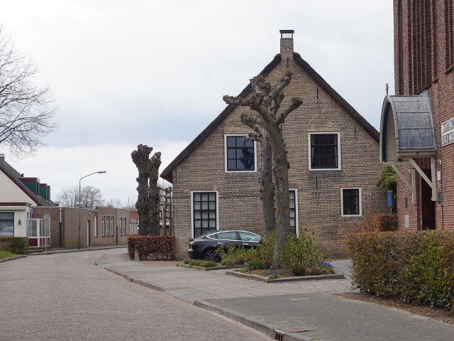 DSC07474dorst_z
