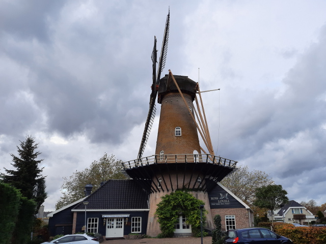 20221109_155852krimpenadijssel_z