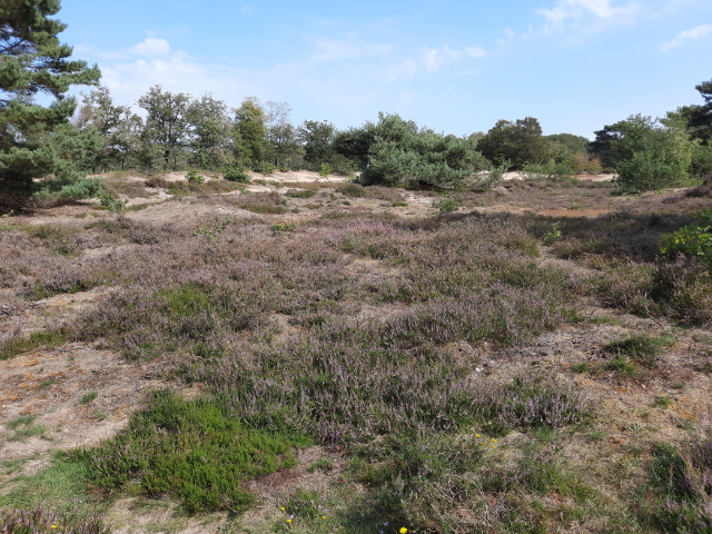 20230916_140035zeegse_z