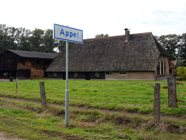 DSC03130appel_w