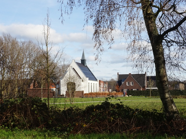 DSC05603oerle_z