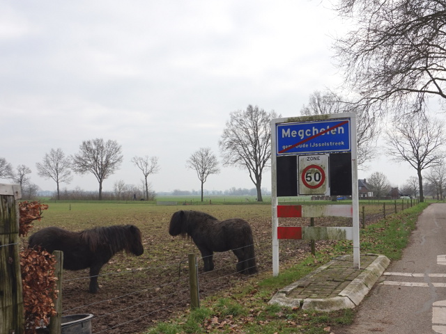 DSC06232megchelen_e
