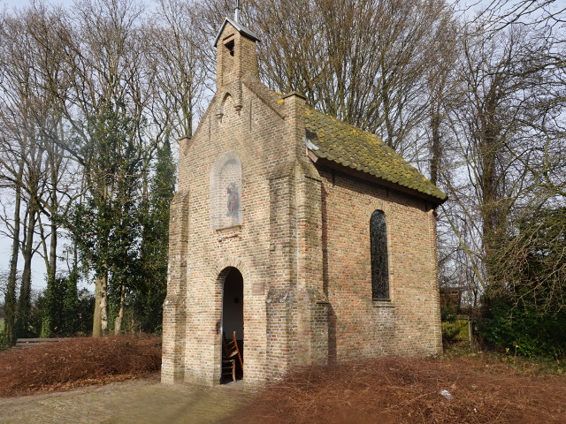 DSC08757strijbeek_z