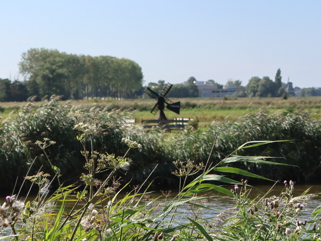 IMG_4435zaandam_z