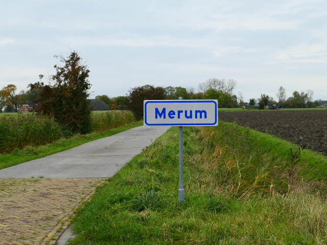 P1170725merum_w