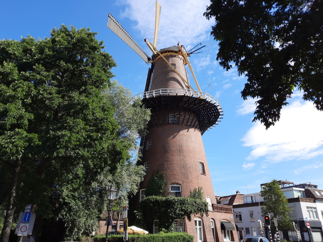 20220724_102835utrecht_z