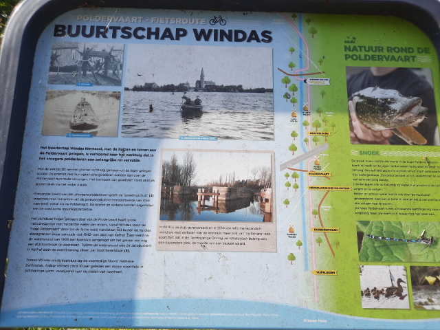 20240828_160224windas_n